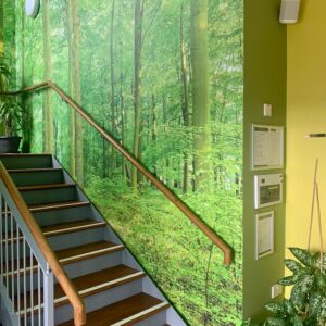 A stairway in with a forest wallpaper