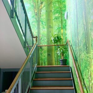 A stairway in with a forest wallpaper