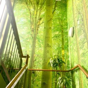 A stairway in with a forest wallpaper