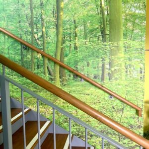 A stairway in with a forest wallpaper