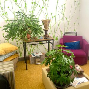 A room with a yellow and green theme with 2 plants