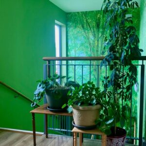 The landing at the top of the stairs with plants