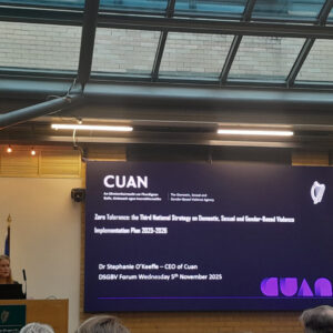 Presentaition at the Domestic, Sexual and Gender-Based Violence (DSGBV) Sector Forum Wednesday, 5th November 2025