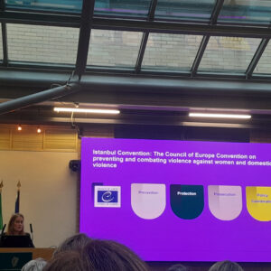 Presentaition at the Domestic, Sexual and Gender-Based Violence (DSGBV) Sector Forum Wednesday, 5th November 2025